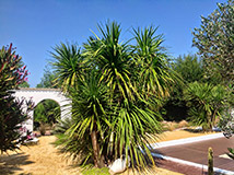 VENTE MAISON / LOFT en VENDEE: PLAGE YUKA
